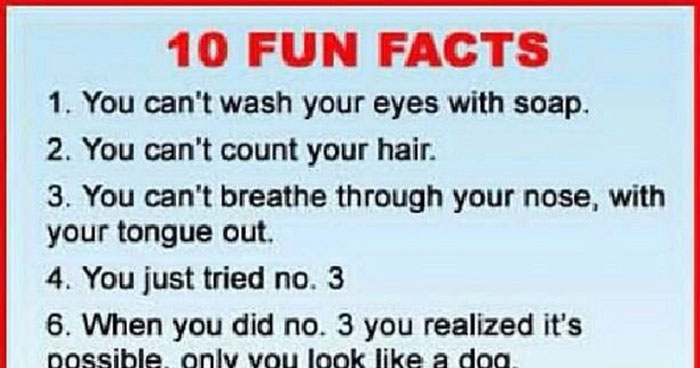 10-fun-facts